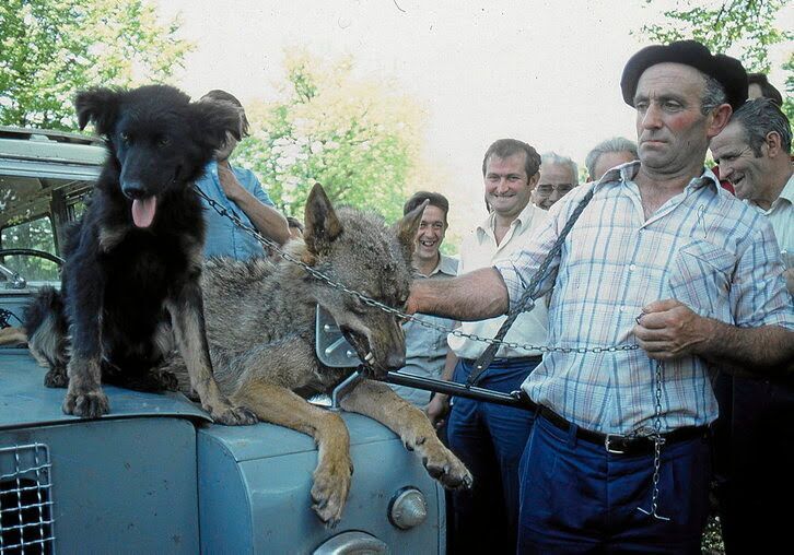 «El lobo en Navarra». Toponimia y leyenda negra: la huella del lobo en Nafarroa