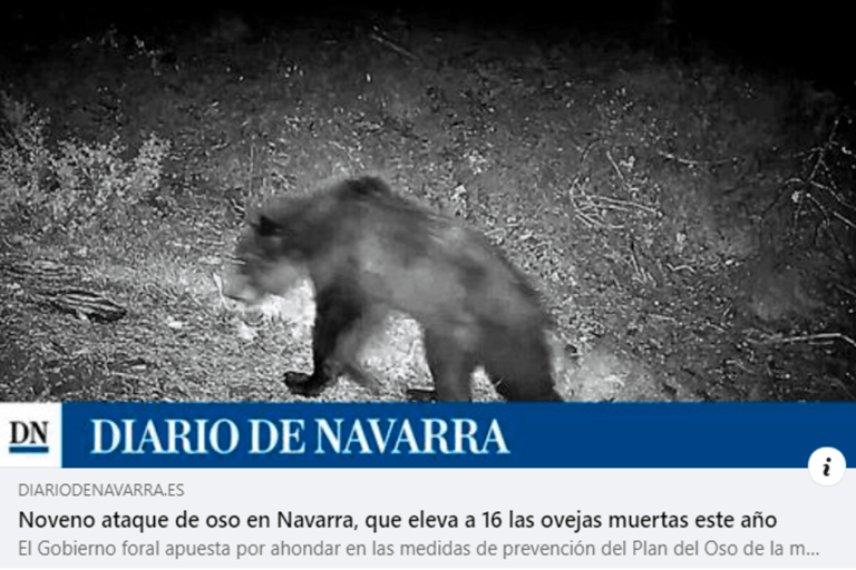 En el caso del oso también, mintiendo para no tomar medidas de protección y acabar con el carnívoro