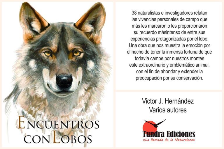 Encuentros con lobos