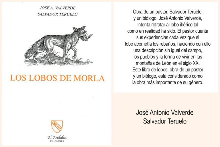 Los lobos de Morla