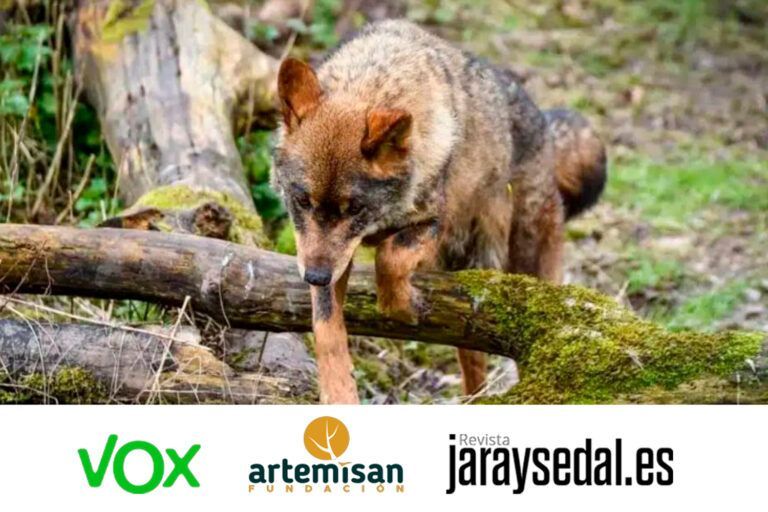 El Congreso de los Diputados acogerá el I Congreso Nacional del Lobo por iniciativa de VOX
