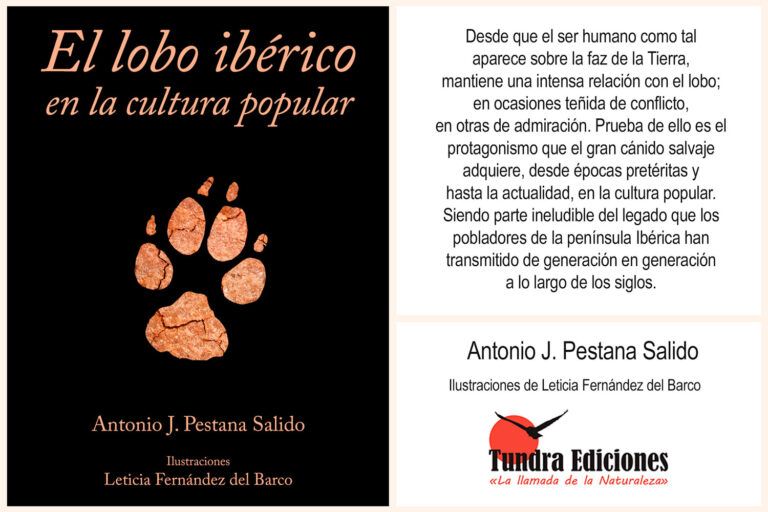 El lobo ibérico en la cultura popular