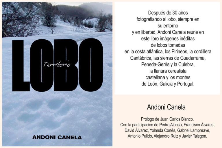 Territorio lobo