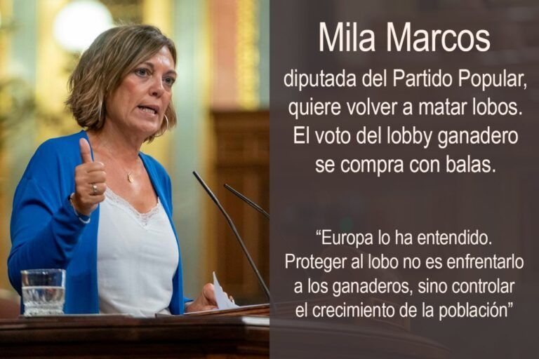 La Diputada de Castilla y León del PP Mila Marcos quiere volver a matar lobos