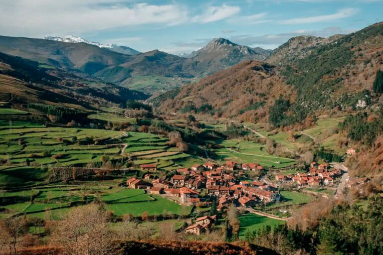 El Parque de Picos, las subvenciones y las matanzas