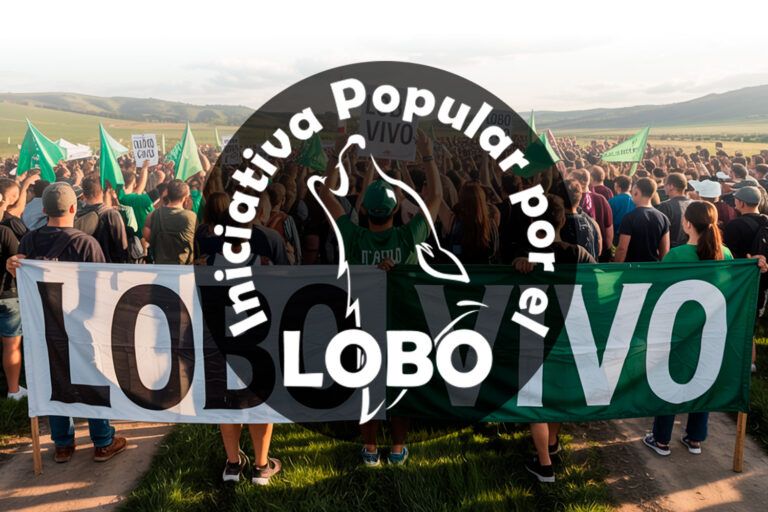 La sociedad civil exige que se respete a la ciencia frente a la demagogia contra el lobo: su estado de conservación es desfavorable
