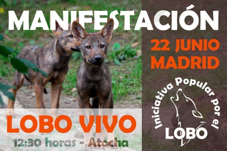 La Iniciativa Popular por el Lobo apoya la manifestación del 22 de junio en Madrid