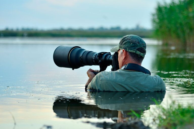 Fotografía y actividades con fauna salvaje: ¿qué permisos se necesitan en España?