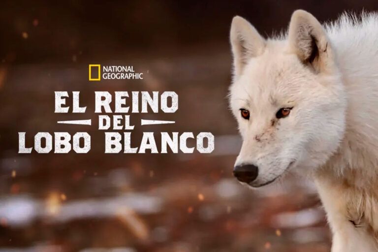 El Reino del lobo blanco