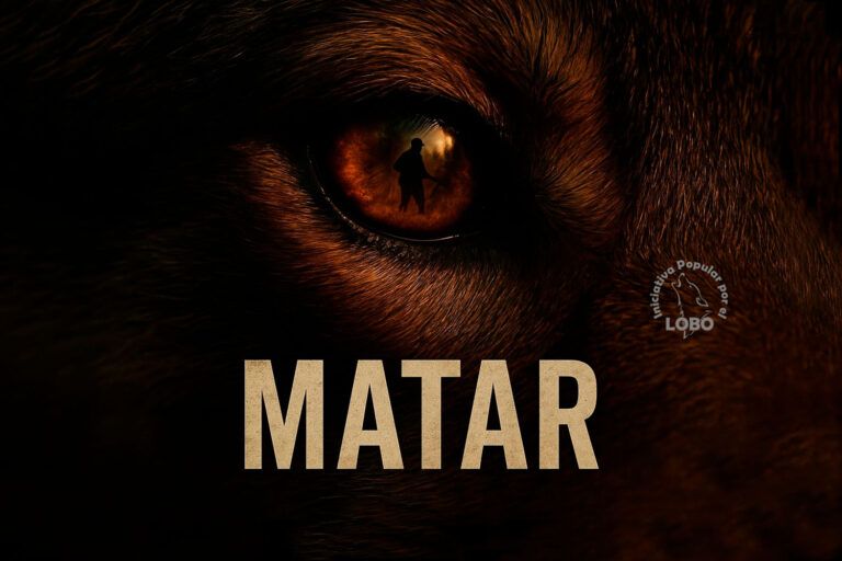 «Matar», el libro sobre la caza en España que te abrirá los ojos